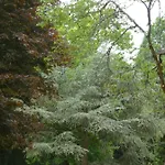 Konukevi Le 22