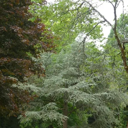 Гостевой дом Le 22